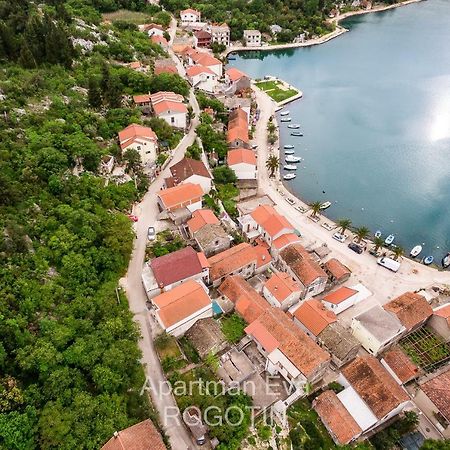 Apartman Eva Rogotin エクステリア 写真